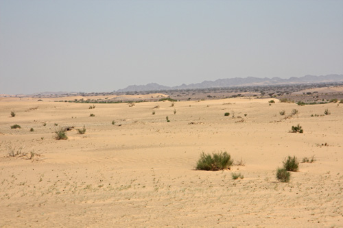 Wadi el-Araba